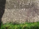 image of grave number 948250